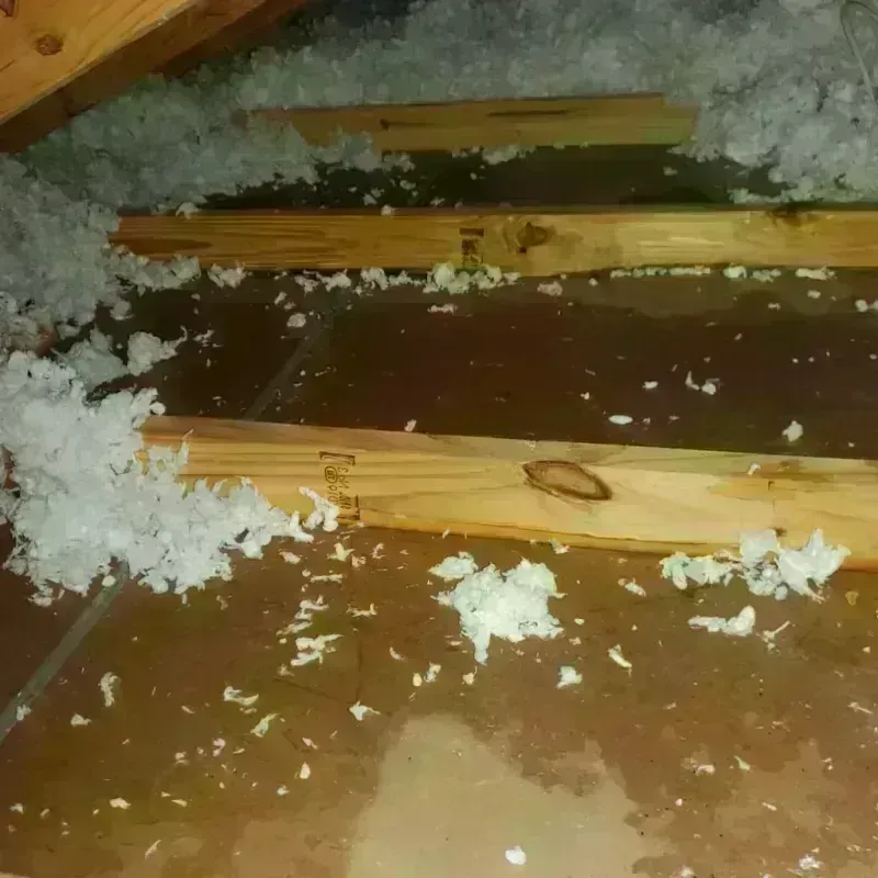 Attic Water Damage in Montgomery County, OH