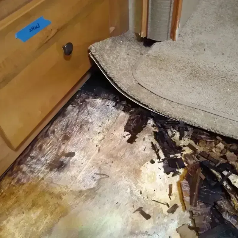 Wood Floor Water Damage in Montgomery County, OH